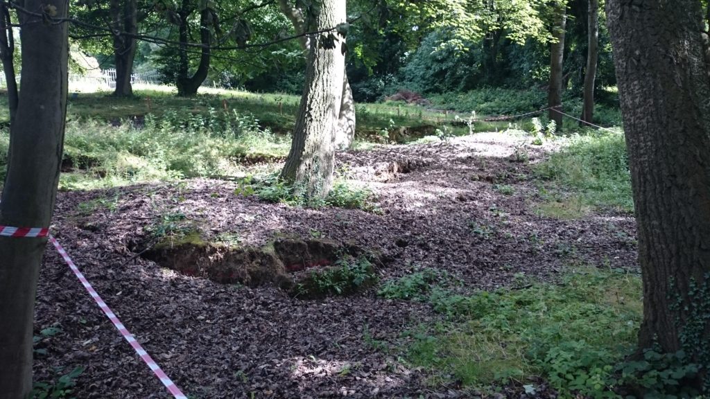Uprooting trees