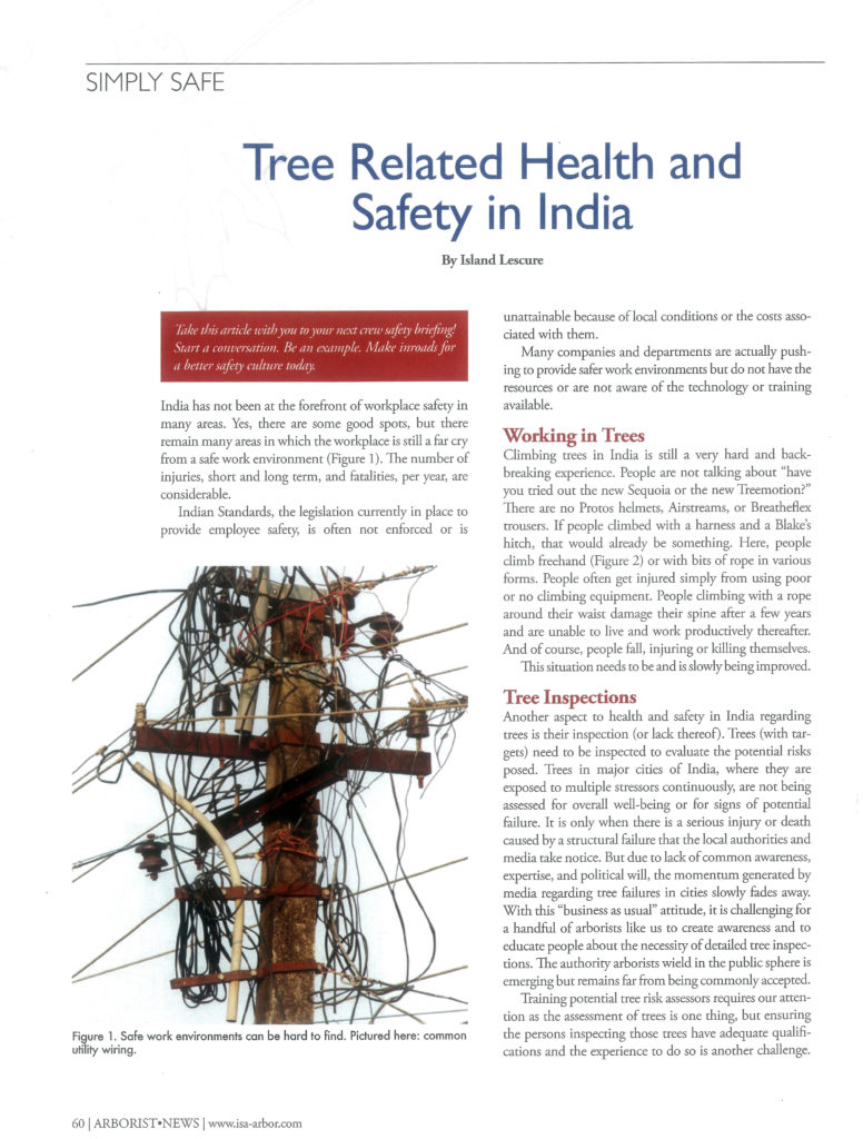 tree related health and safety in India