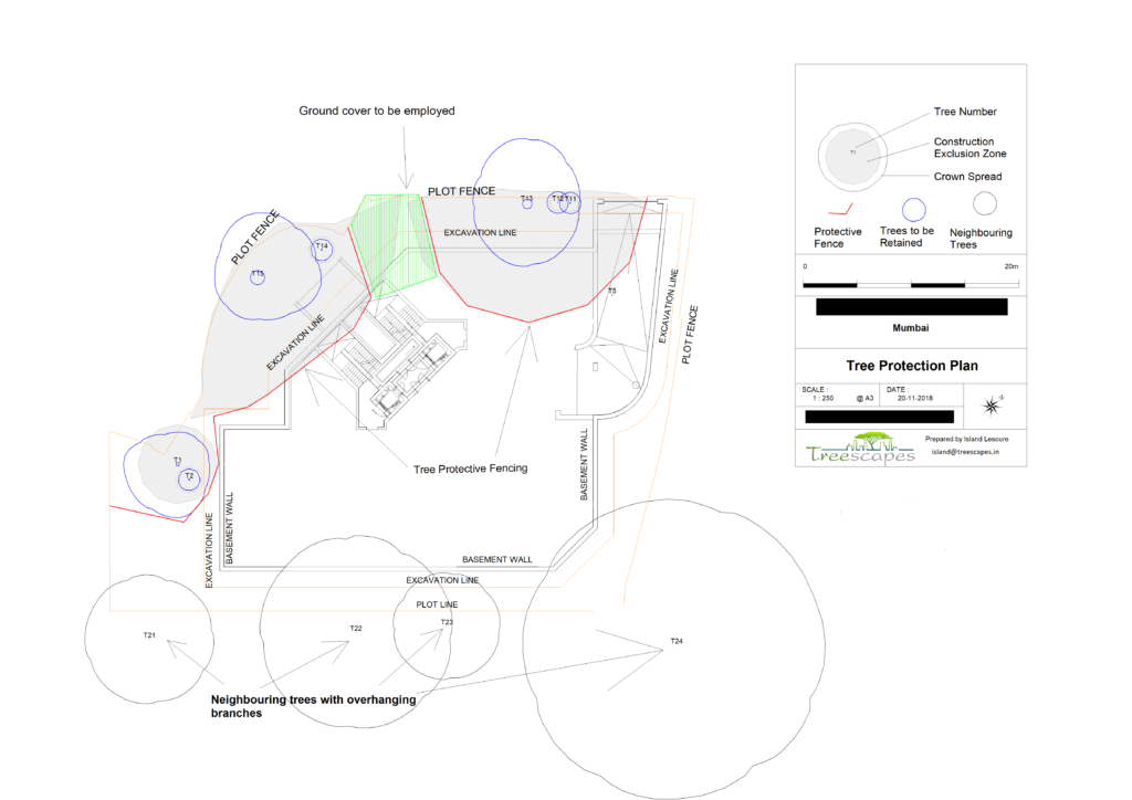 Tree protection plan