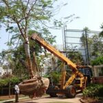 A crane lifting a tree in the correct manner