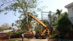 A crane lifting a tree in the correct manner