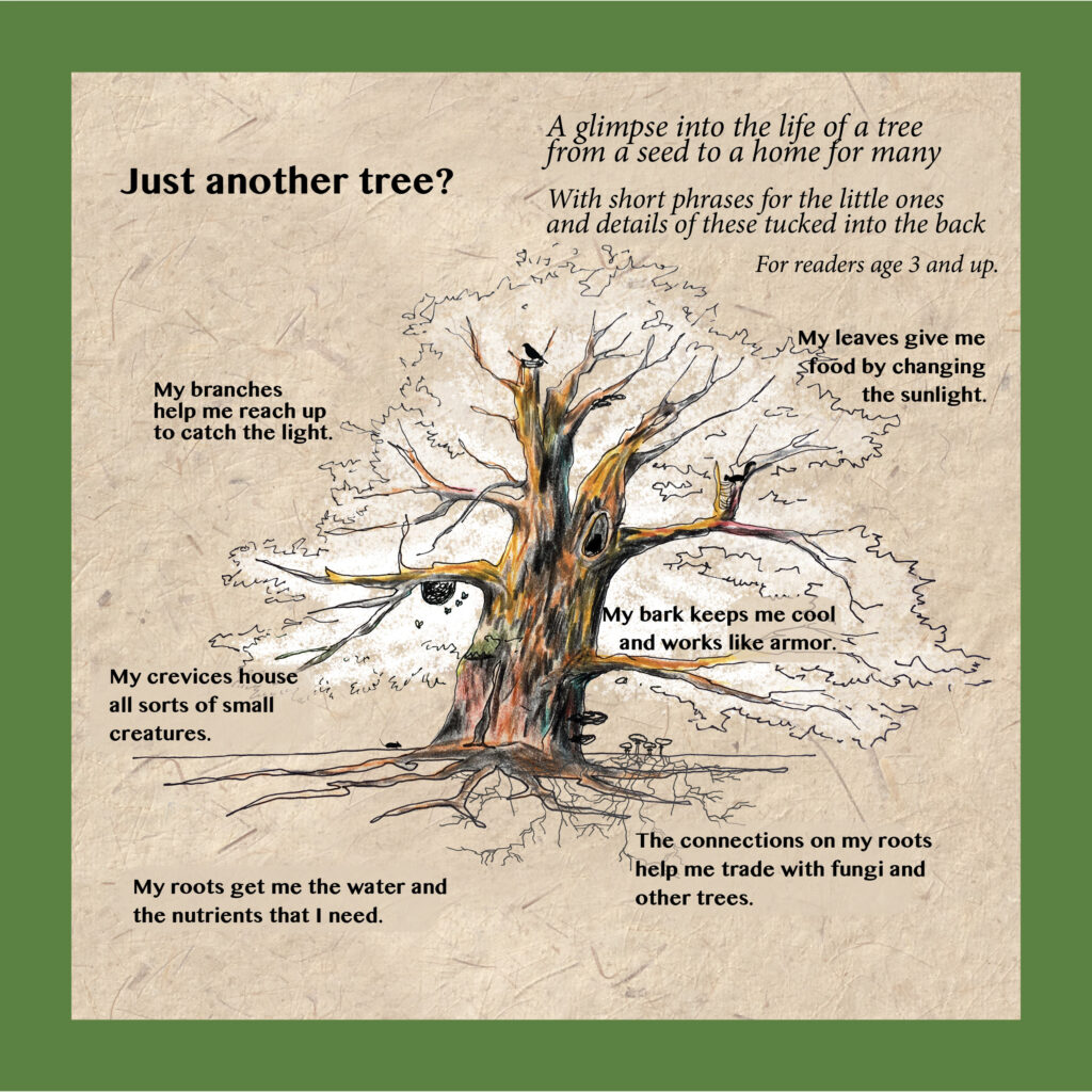 The Life of a Tree book back cover