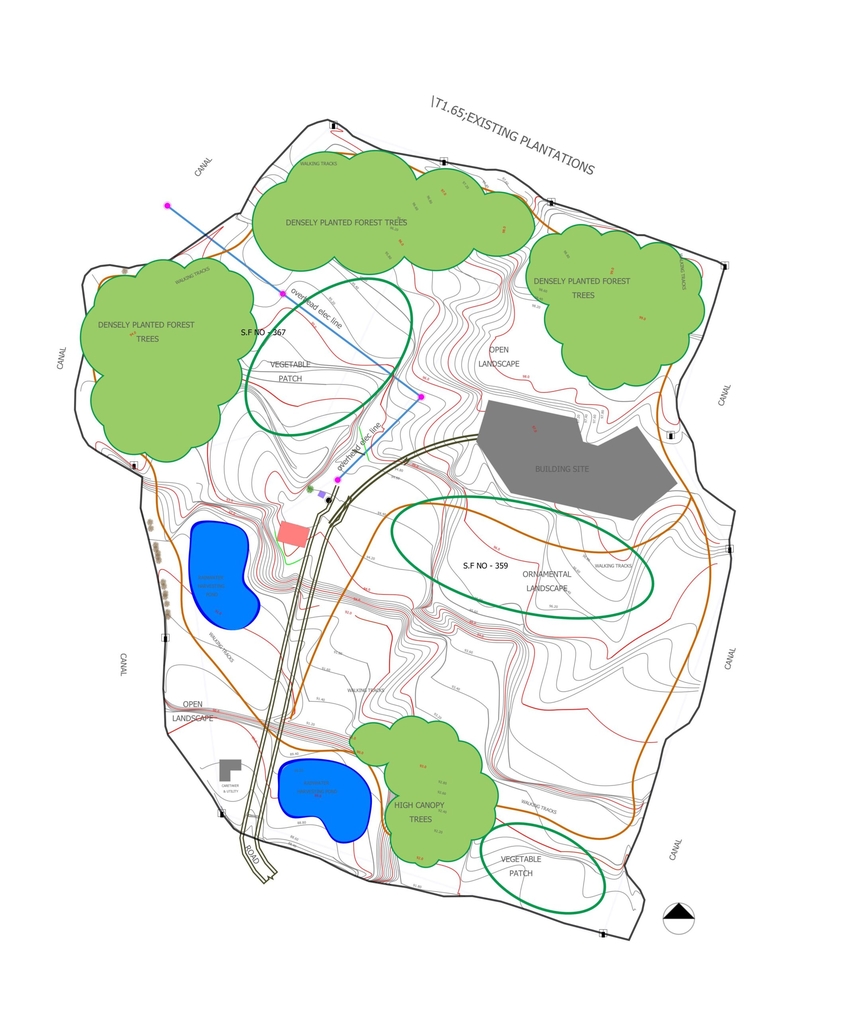 Basic planting overview
