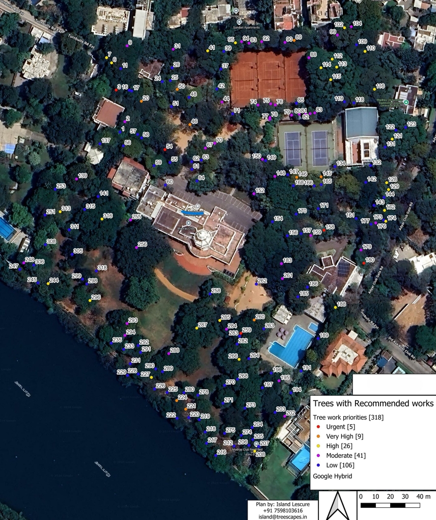 tree risk assessment plan